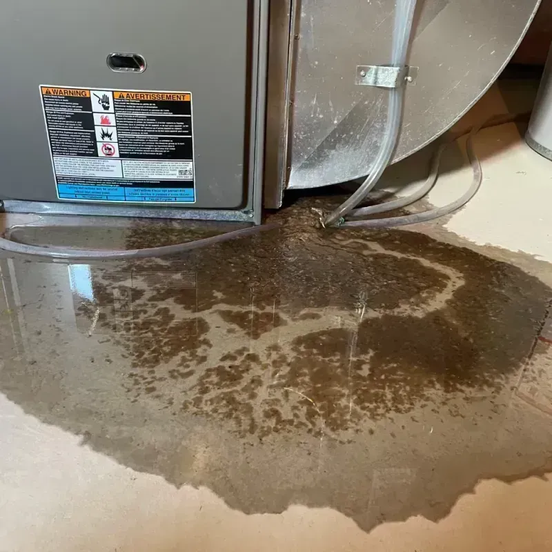 Appliance Leak Cleanup in Saint Charles, IL